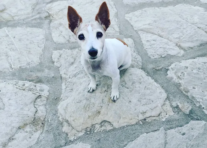 Petridi House سيمي