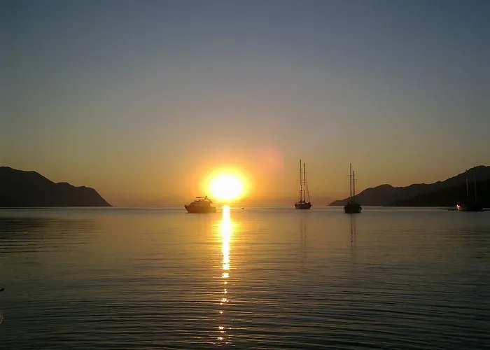 Petridi House * سيمي